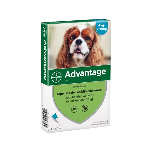 Advantage Hund – Bild 4