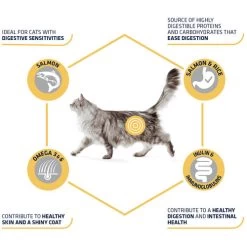 Affinity Advance Adult Salmon Sensitive - Katze -Haustierprodukte affinity advance adult salmon sensitive kat 178666 0500 none