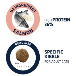 Affinity Advance Adult Salmon Sensitive - Katze -Haustierprodukte affinity advance adult salmon sensitive kat 178669 0500 none