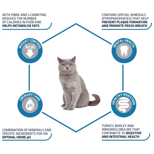 Affinity Advance Sterilized Pute - Katze 3 Affinity Advance Sterilized Pute - Katze - Image 3