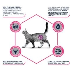 Affinity Advance Veterinary Diets Urinary Stress Katze -Haustierprodukte affinity advance veterinary diets urinary stress kat 176836 0500 none