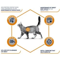 Affinity Advance Veterinary Diets Weight Balance Katze -Haustierprodukte affinity advance veterinary diets weight balance kat 178093 0500 none