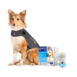Anti Stress Paket Thundershirt Und Adaptil