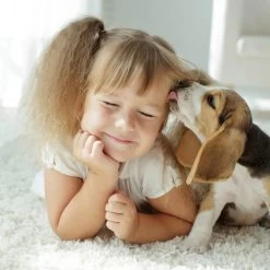 Beaphar Fiprotec Spray -Haustierprodukte beaphar fiprotec spray 213632 0500 none