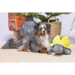 Beeztees Hide And Seek Schildo 6 Beeztees Hide And Seek Schildo -Haustierprodukte beeztees hide and seek schildo 221787 0500 none