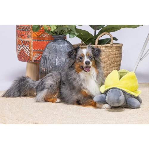 Beeztees Hide And Seek Schildo 3 Beeztees Hide And Seek Schildo - Image 3