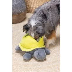 Beeztees Hide And Seek Schildo 7 Beeztees Hide And Seek Schildo -Haustierprodukte beeztees hide and seek schildo 221788 0500 none