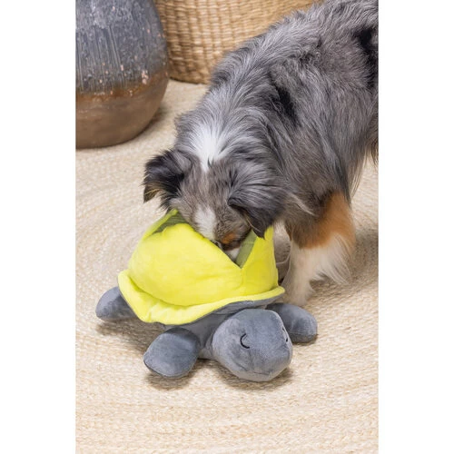 Beeztees Hide And Seek Schildo 4 Beeztees Hide And Seek Schildo - Image 4