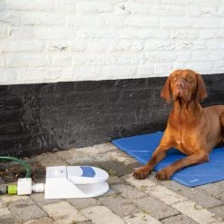 Beeztees Splashy Water Fountain -Haustierprodukte beeztees splashy waterfontein 163285 0500 none