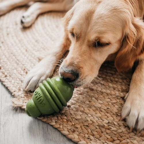 Beeztees Sumo Play Dental 2 Beeztees Sumo Play Dental - Image 2