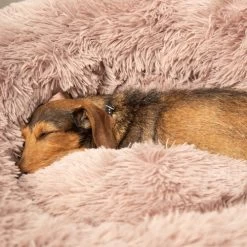 Beeztees Yali Plüsch-Donut-Bett - Grau -Haustierprodukte beeztees yali pluche donutmand 216351 0500 none