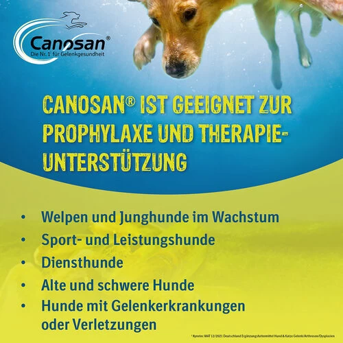 Canosan® Kautabletten Für Hunde 3 Canosan® Kautabletten Für Hunde - Image 3