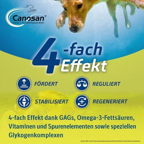 Canosan® Kautabletten Für Hunde 5 Canosan® Kautabletten Für Hunde - Image 5