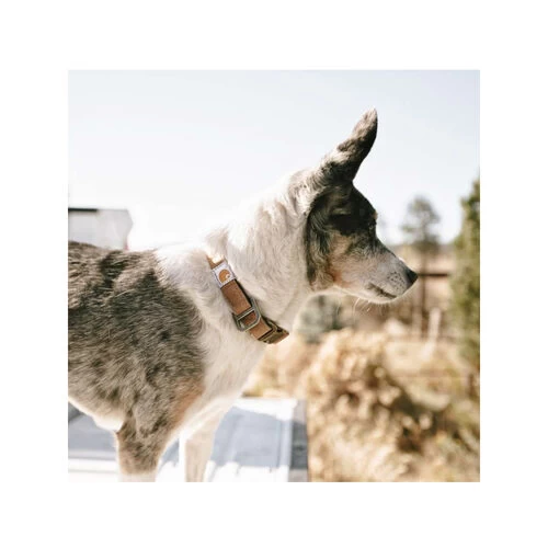 Carhartt Journeyman Collar 2 Carhartt Journeyman Collar - Image 2