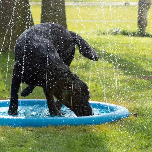 CoolPets Splash Pool Water Sprinkler 3 CoolPets Splash Pool Water Sprinkler - Image 3