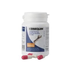 Cosequin DS -Haustierprodukte cosequin ds 169032 0500 none