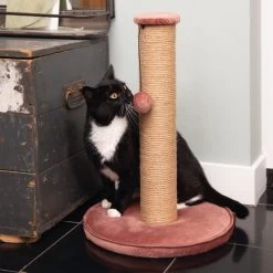 Designed By Lotte Kratzbaum Yenna -Haustierprodukte designed by lotte krabpaal yenna 164443 0500 none