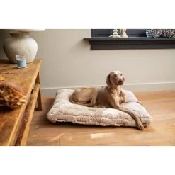 Designed By Lotte Xanti Hundekissen 6 Designed By Lotte Xanti Hundekissen -Haustierprodukte designed by lotte xanti hondenkussen 188127 0500 none