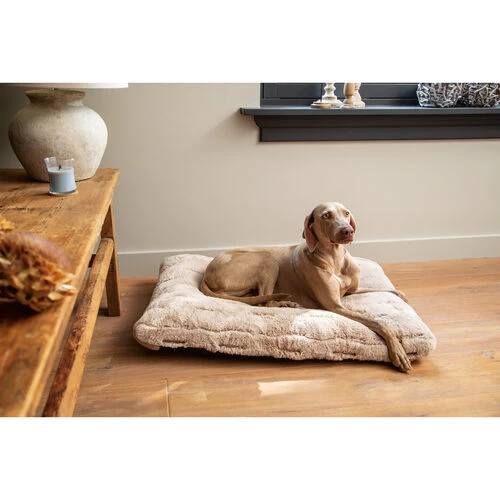 Designed By Lotte Xanti Hundekissen 3 Designed By Lotte Xanti Hundekissen - Image 3