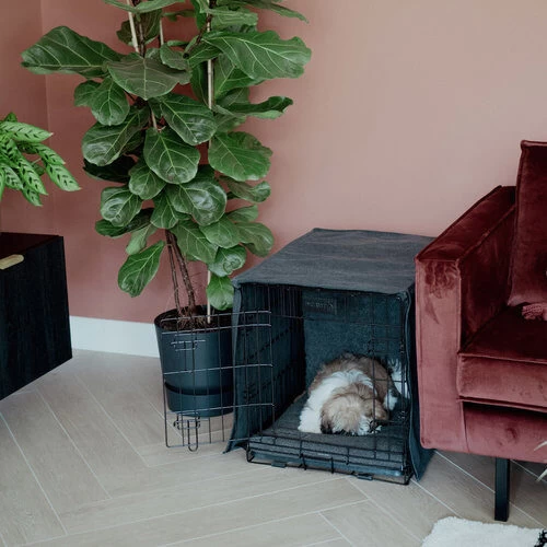 District 70 Crate Cover 5 District 70 Crate Cover - Image 5