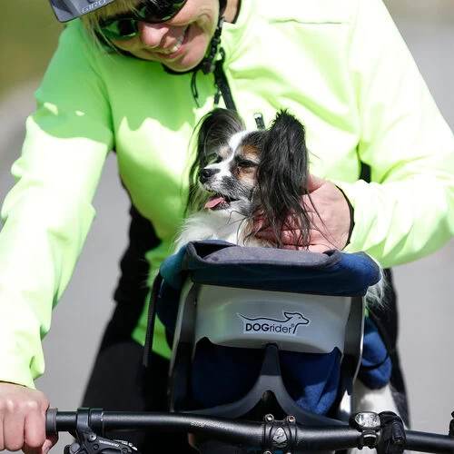 Dogrider Dog Seat + Korb - Grau 3 Dogrider Dog Seat + Korb - Grau - Image 3