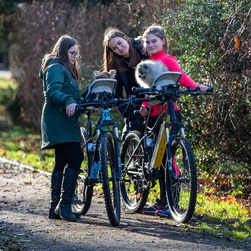 Dogrider Dog Seat + Korb - Grau 2 Dogrider Dog Seat + Korb - Grau - Image 2