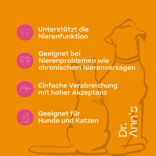 Dr. Ann's Kidney Support 3 Dr. Ann's Kidney Support - Image 3