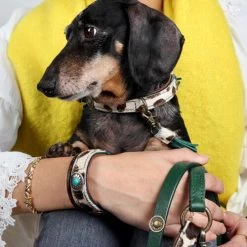 DWAM Halsband Ivy -Haustierprodukte dwam halsband ivy 180688 0500 none