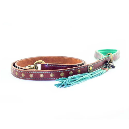 DWAM Hundeleine Joe 1 DWAM Hundeleine Joe