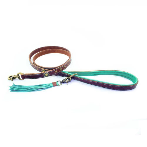 DWAM Hundeleine Joe 2 DWAM Hundeleine Joe - Image 2