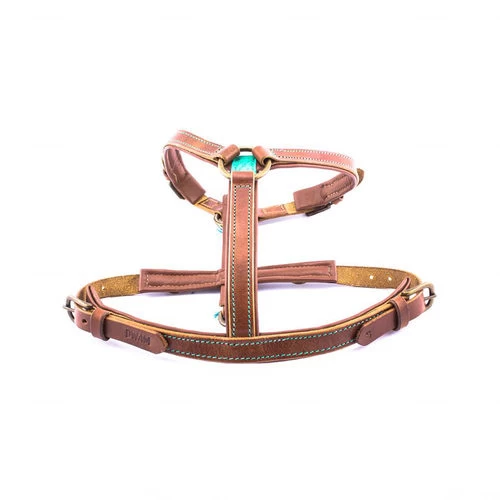 DWAM Hundegeschirr Boho Juan 2 DWAM Hundegeschirr Boho Juan - Image 2