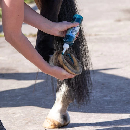 Equi Protecta Blue Wonder Gel 2 Equi Protecta Blue Wonder Gel - Image 2
