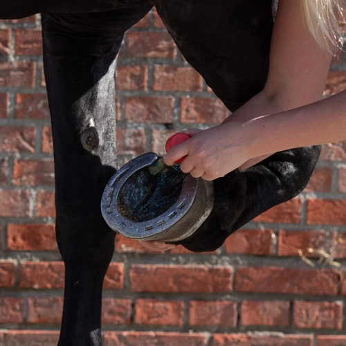 Equi Protecta Blue Wonder Gel 3 Equi Protecta Blue Wonder Gel - Image 3