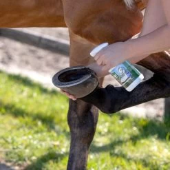 Equi Protecta Huf-Spray 5 Equi Protecta Huf-Spray -Haustierprodukte equi protecta hoevenspray 161273 0500 none