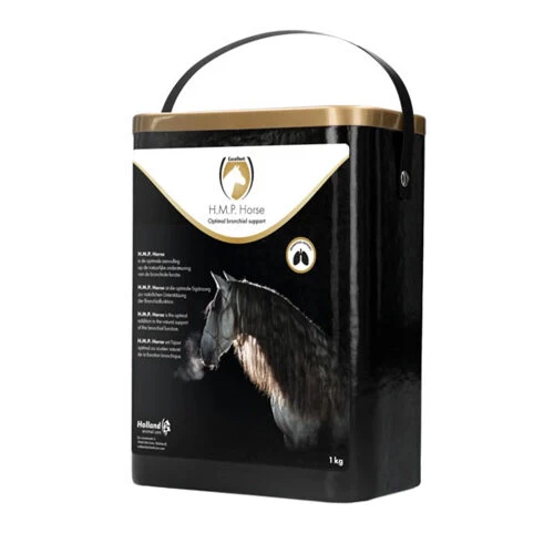 Excellent HMP Horse 1 Excellent HMP Horse