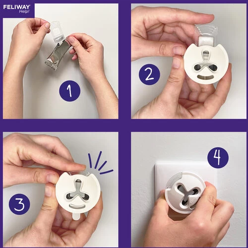 Feliway Help! 4 Feliway Help! - Image 4