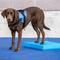 FitPAWS Balance Pad -Haustierprodukte fitpaws balance pad 176128 0500 none