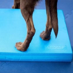 FitPAWS Balance Pad -Haustierprodukte fitpaws balance pad 176131 0500 none