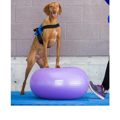 FitPAWS Trax Donut 2 FitPAWS Trax Donut - Image 2