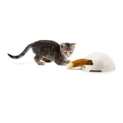 FroliCat Fox -Haustierprodukte frolicat fox 136600 0500 none