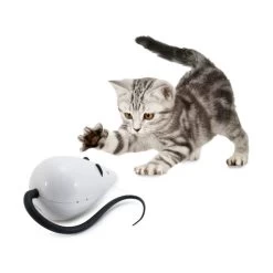 FroliCat RoloRat -Haustierprodukte frolicat rolorat 136585 0500 none