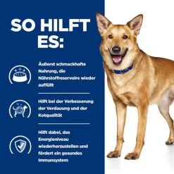 Hill's I/d Digestive Care Stress Mini Ragout - Prescription Diet - Canine -Haustierprodukte hills id digestive care stress mini stoofpotje prescription diet canine 212168 0500 none