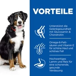 Hill's Science Plan - Adult - Large - Lamm 8 Hill's Science Plan - Adult - Large - Lamm -Haustierprodukte hills science plan adult large lamb 218816 0500 none