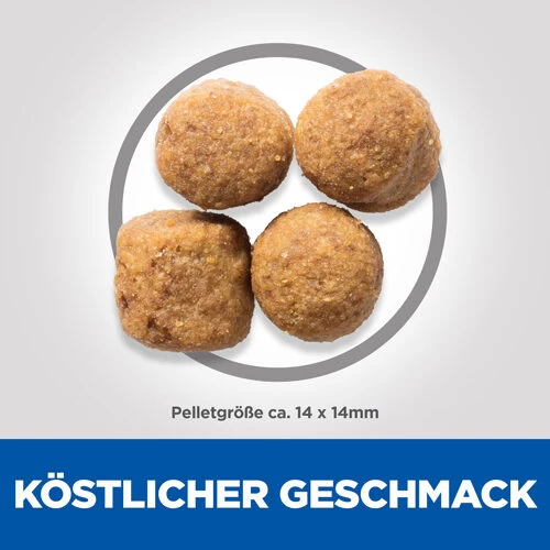 Hill's Science Plan - Adult - Large - Lamm 2 Hill's Science Plan - Adult - Large - Lamm - Image 2