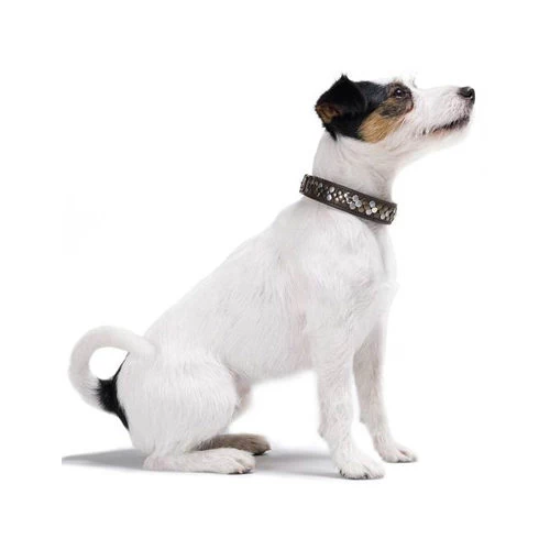 Hunter Halsband Arizona 2 Hunter Halsband Arizona – Bild 2