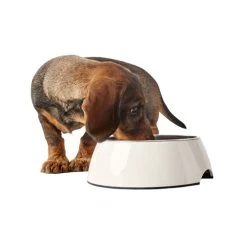 Hunter Melamin Napf - Weiß 8 Hunter Melamin Napf - Weiß -Haustierprodukte hunter melamine voer en drinkbak wit 169567 0500 none