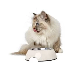 Hunter Melamin Napf - Weiß 9 Hunter Melamin Napf - Weiß -Haustierprodukte hunter melamine voer en drinkbak wit 169570 0500 none