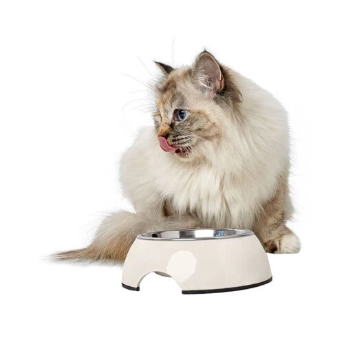 Hunter Melamin Napf - Weiß 5 Hunter Melamin Napf - Weiß - Image 5