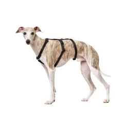 Hunter Vario Rapid Sicherheitsgeschirr - Schwarz -Haustierprodukte hunter vario rapid veiligheidsharnas zwart 169501 0500 none