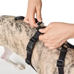 Hunter Vario Rapid Sicherheitsgeschirr - Schwarz -Haustierprodukte hunter vario rapid veiligheidsharnas zwart 169504 0500 none